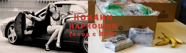 трава Пересвет