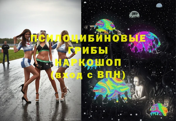 трава Пересвет