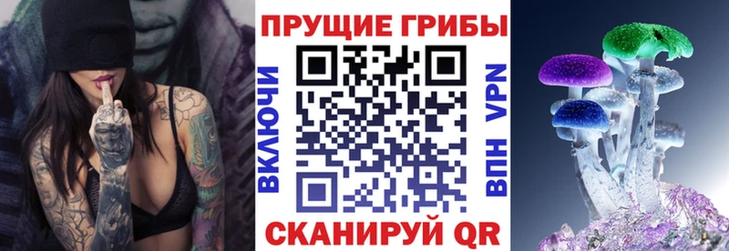 Псилоцибиновые грибы MAGIC MUSHROOMS  мега как зайти  Усолье 